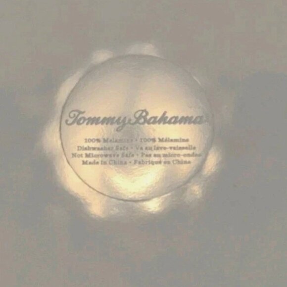 Tommy Bahama Sea Turtle Ocean Turquoise Green Tropical 11” Melamine Plates Set 4 - Picture 6 of 6